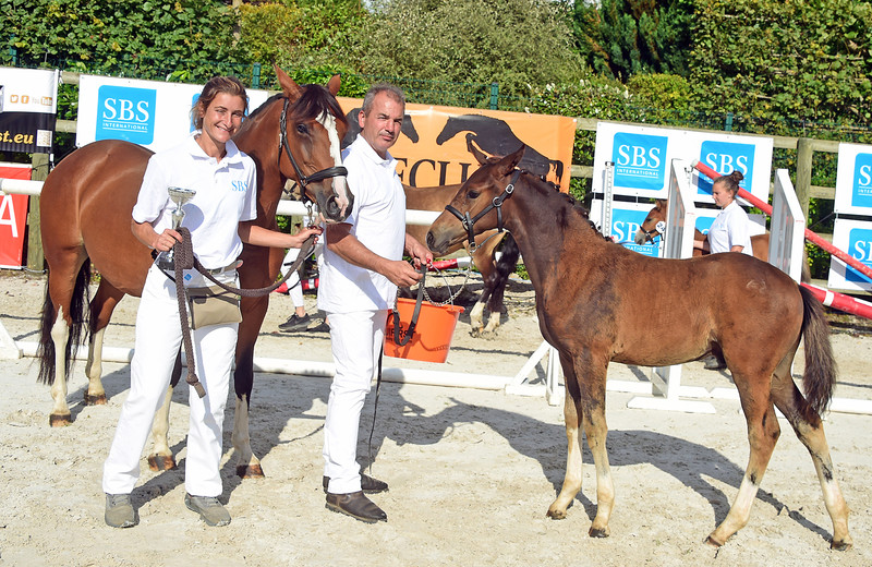 Mevrouw Eugénie Bourdais en  PUCCINI HDB (FS Next Diamond x Ulk d’Eté) (Nahalie Geerlandt)