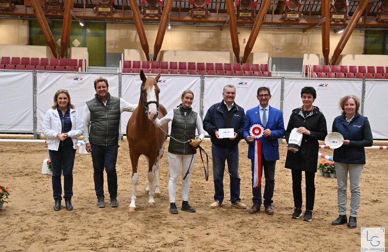 OPUS ONE HDB (FS Numéro Uno x Ilk d’Eté), zegeviert op het Kampioenschap van Frankrijk bij de 2- jarige Pony’s (merries en ruinen) in Saumur 2022! (foto: France Dressage)  