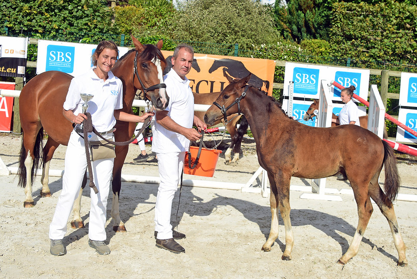 Mevrouw Eugénie Bourdais en  PUCCINI HDB (FS Next Diamond x Ulk d’Eté) (Nahalie Geerlandt)