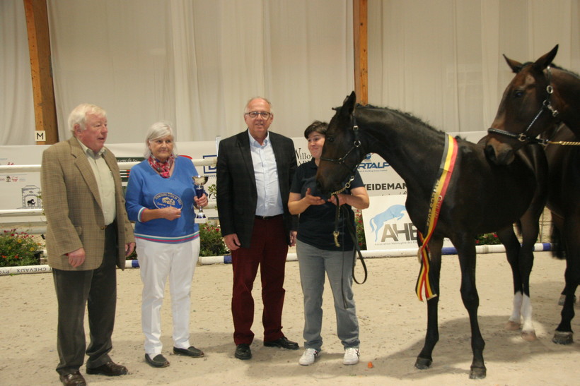 QUANTARA BIOLLEY (Diablue PS x Chacco Me Biolley) remporte le Championnat open de Wallonie des Foals 2022 ! (photo: C.R. - SBS)